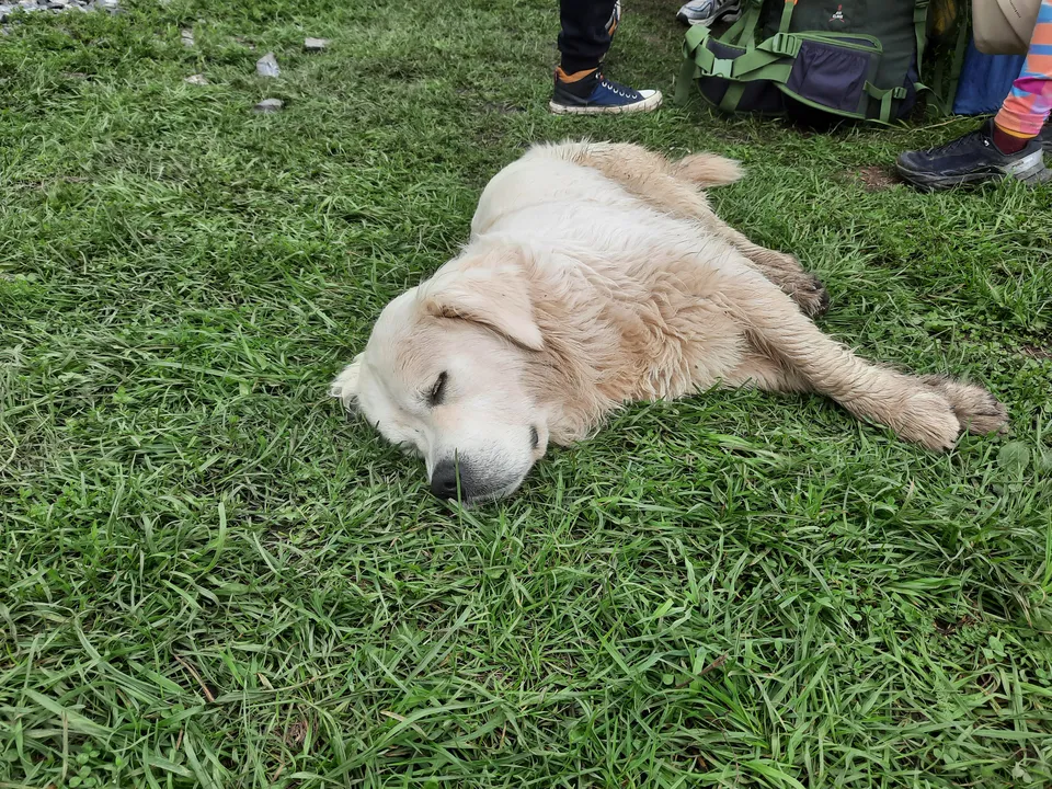 Загрузка картинки - Ай 2024. Уже хочется отдохнуть