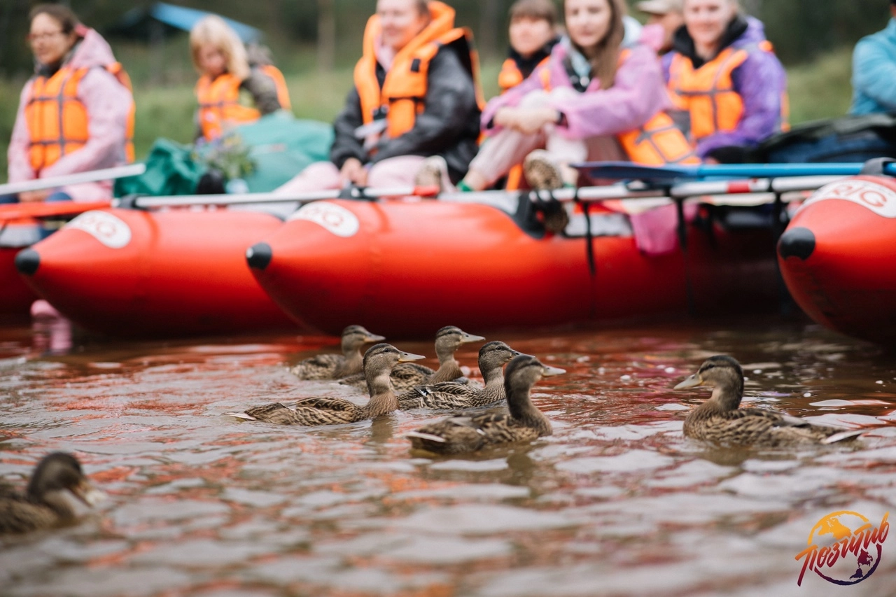 Загрузка картинки - Ай 2024. Полноправные хозяева реки