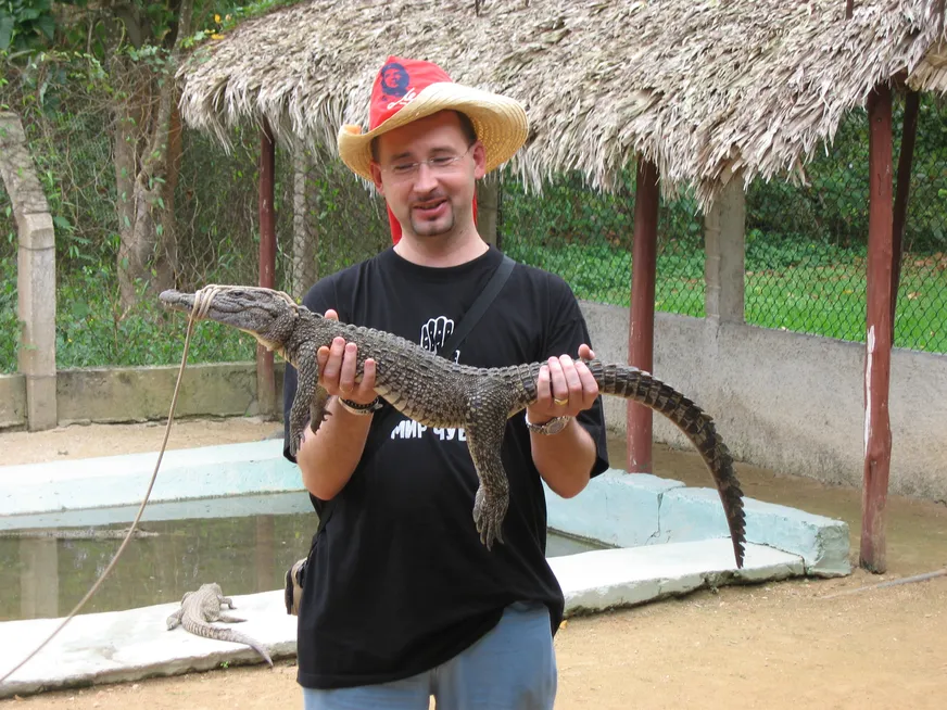 Загрузка картинки - Какой-то кокодрило мучает животину