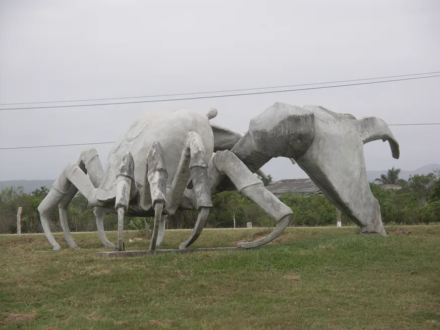 Загрузка картинки - Карденас. Эль Краб