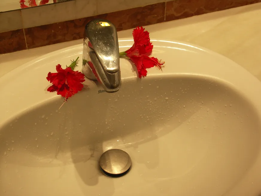 Загрузка картинки - Вот, что песо животворящие делают