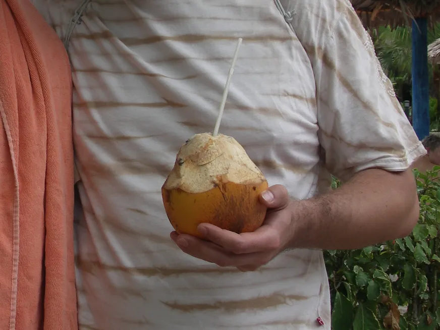 Загрузка картинки - Коконат с роном