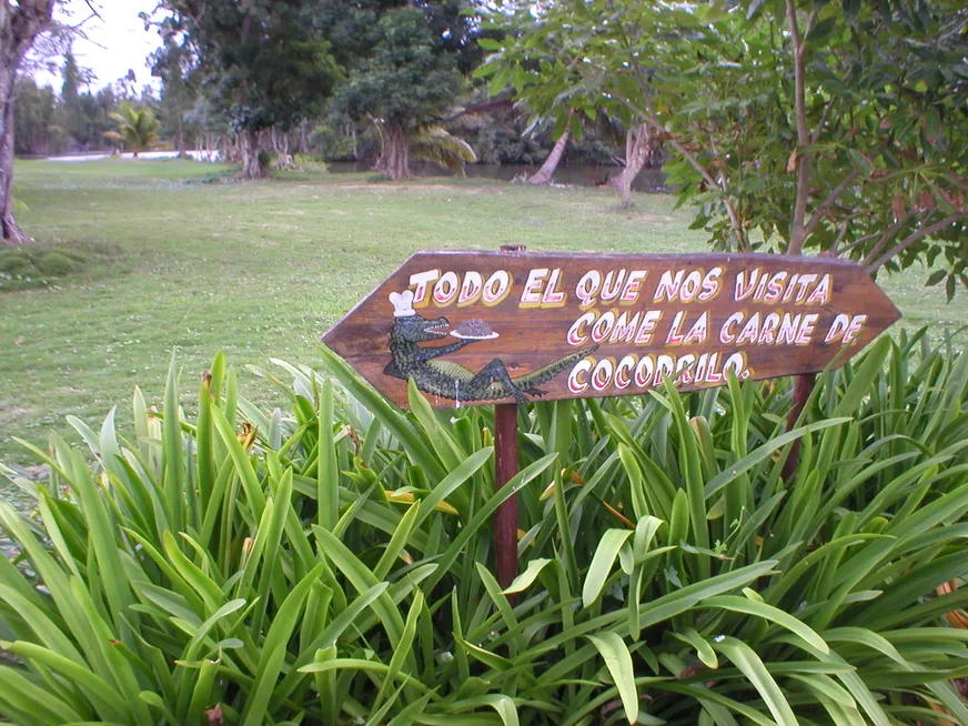 Загрузка картинки - Приглашение испробовать крокодилятины