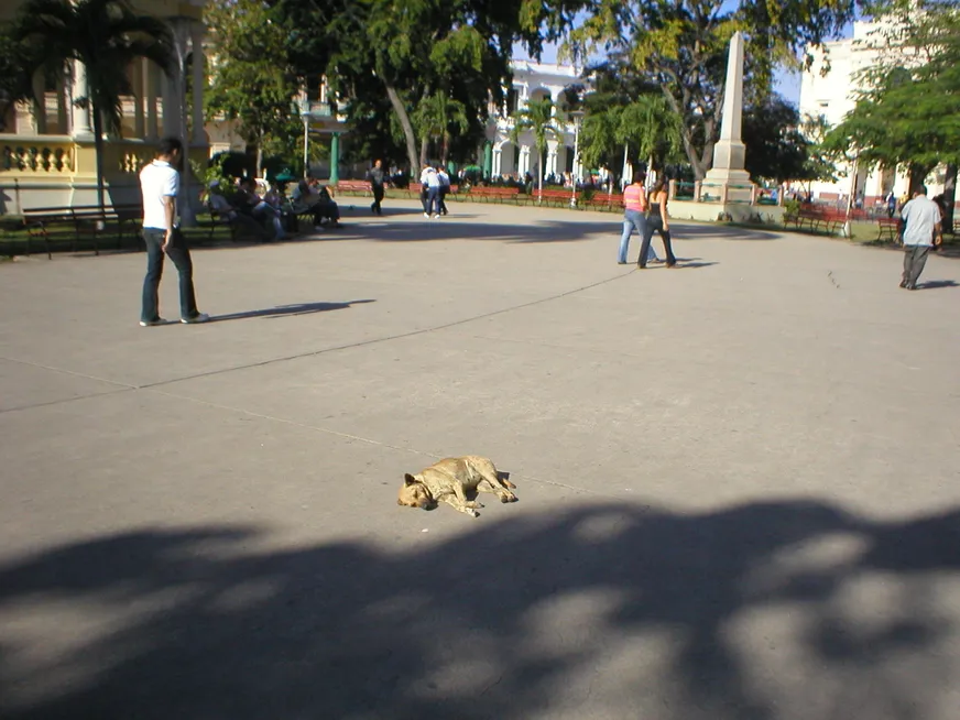 Загрузка картинки - Санта-Клара. Собаки на Кубе