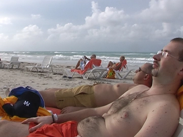 Загрузка картинки - Океан и Бобры