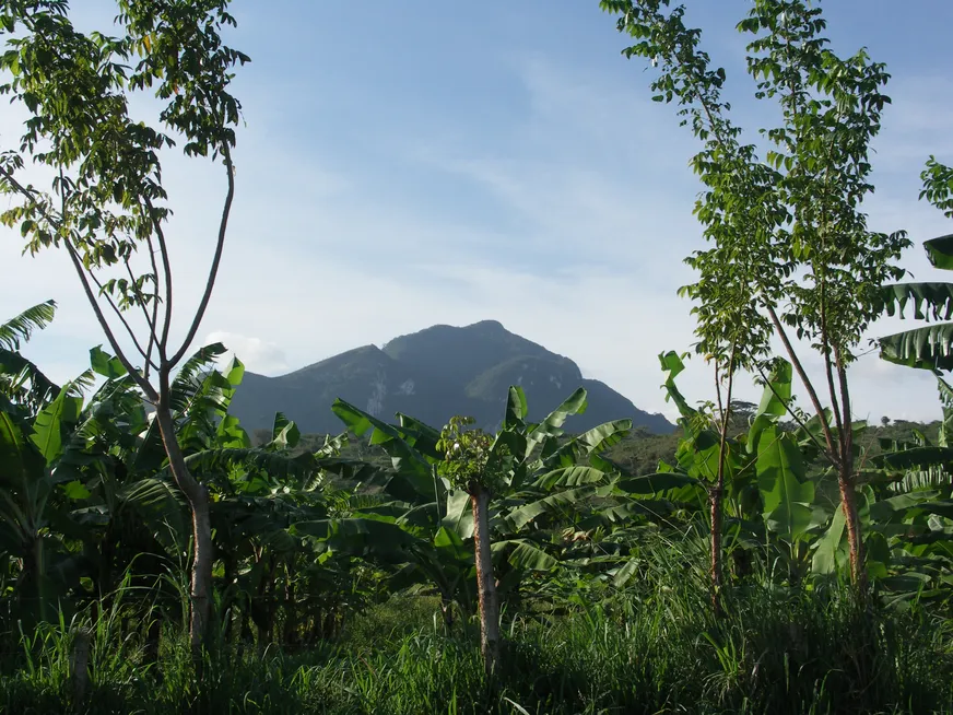Загрузка картинки - Где-то в самом центре Кубы