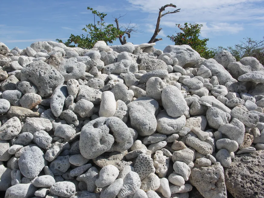 Загрузка картинки - Тринидад, Ля Бока. Всемирная история, Банк Империал