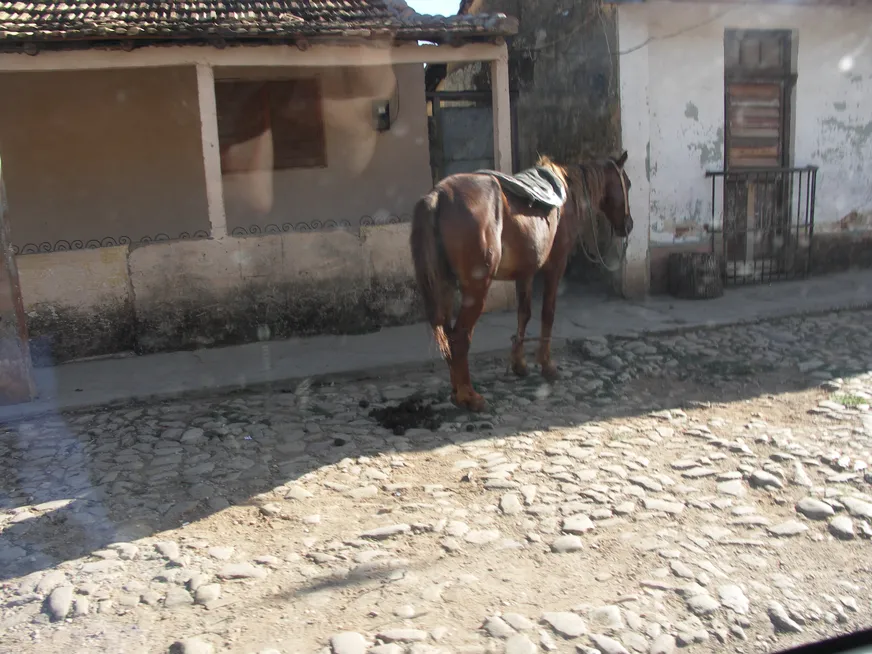 Загрузка картинки - Тринидад, современность