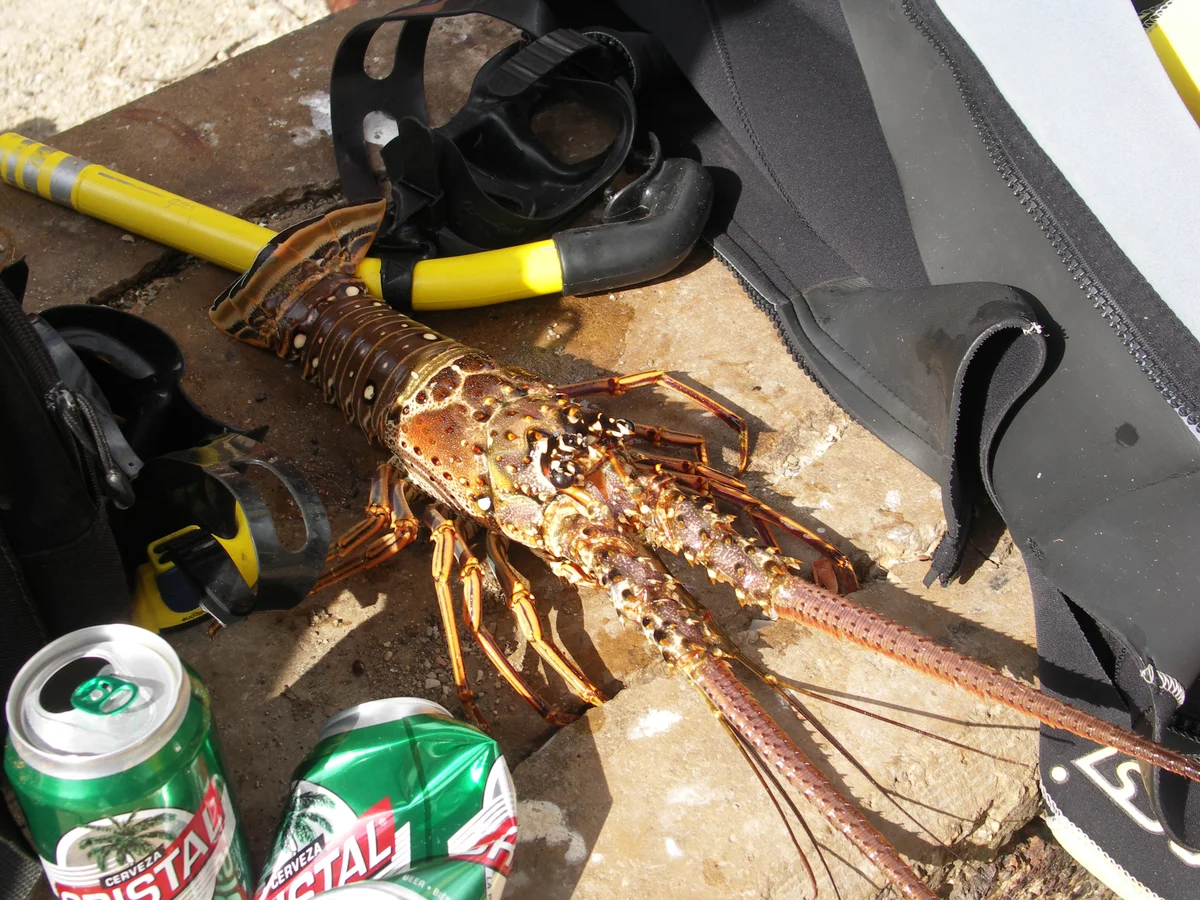 Загрузка картинки - Где-то под Тринидадом. Люста