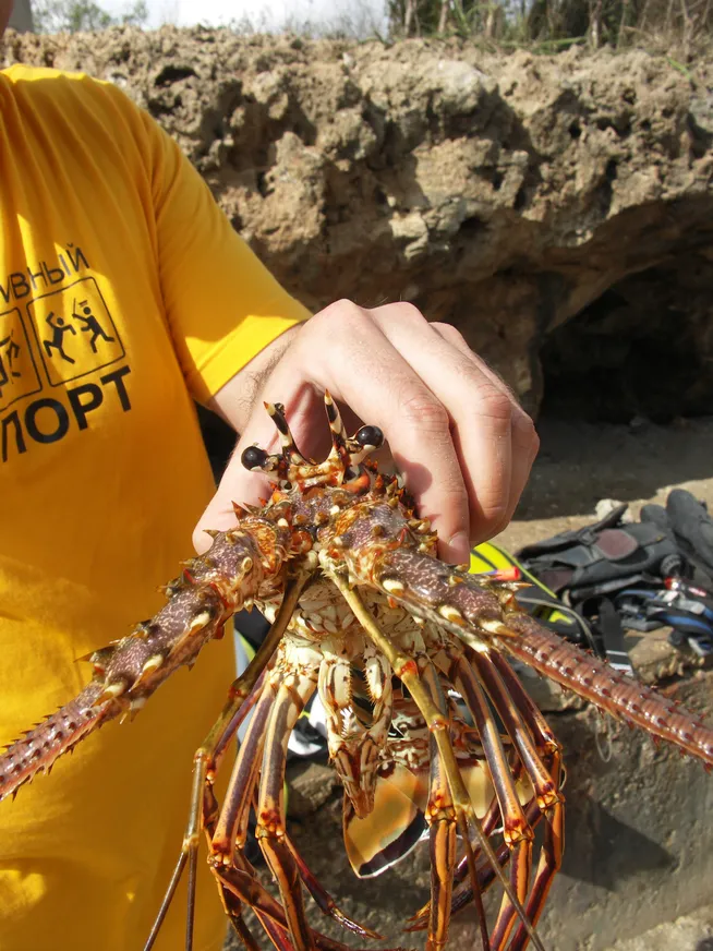 Загрузка картинки - Где-то под Тринидадом. Эль Зверь