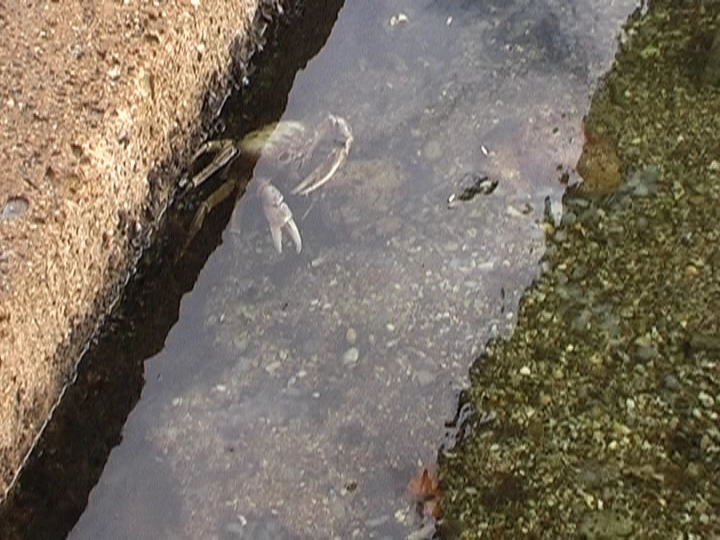 Загрузка картинки - Где-то под Тринидадом. Эль Краб