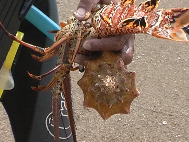 Загрузка картинки - Где-то под Тринидадом. Люста