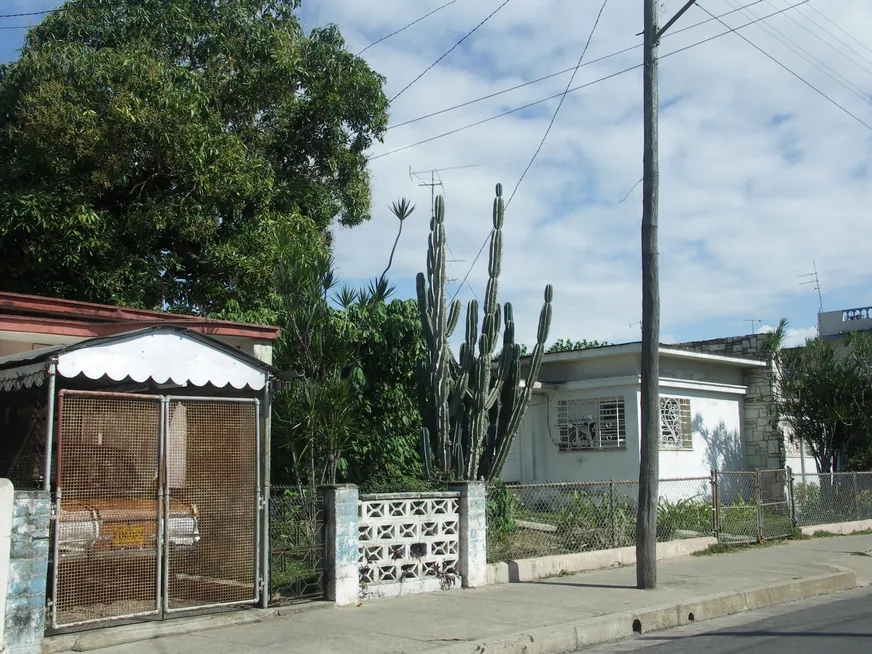 Загрузка картинки - Сьенфуегос. Эль грандэ Кактус