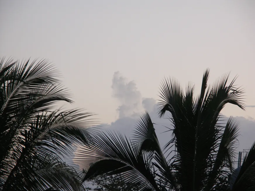 Загрузка картинки - Запата. Небесные образ Че