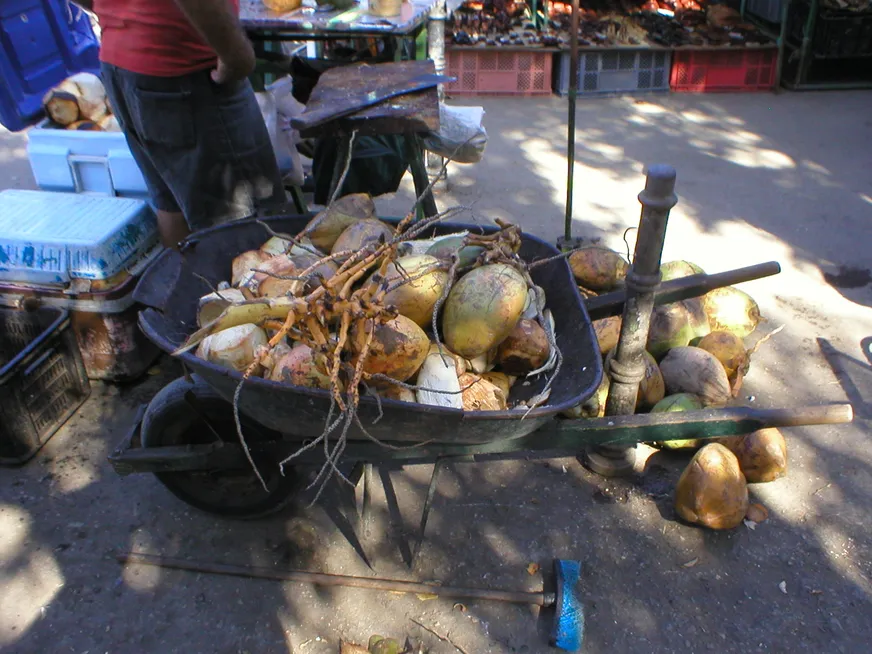 Загрузка картинки - Лябана, рынок Такон. Коктейльная лавка