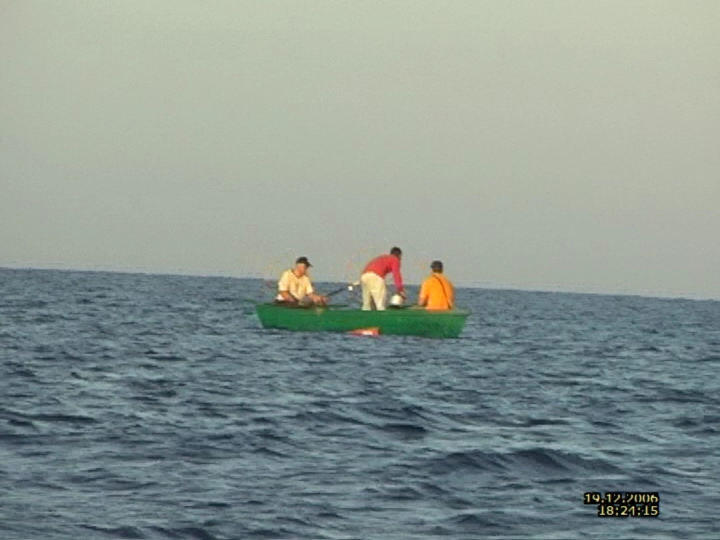 Загрузка картинки - Плайя Хирон. Грибы в носу бота