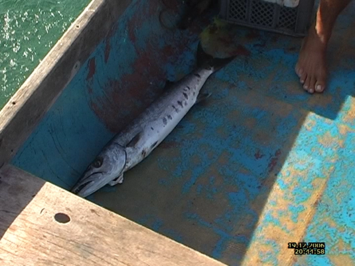 Загрузка картинки - Плайя Хирон. Эль барракуда