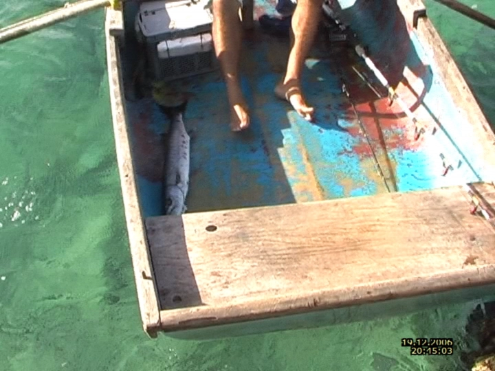 Загрузка картинки - Плайя Хирон. Эль барракуда