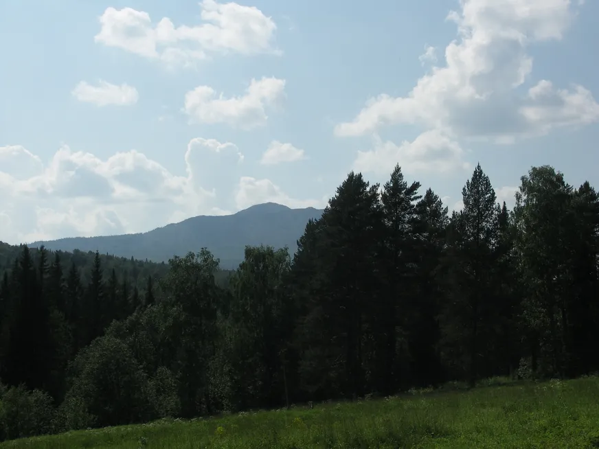 Загрузка картинки - Хребет Нургуш, кордон. Пастораль
