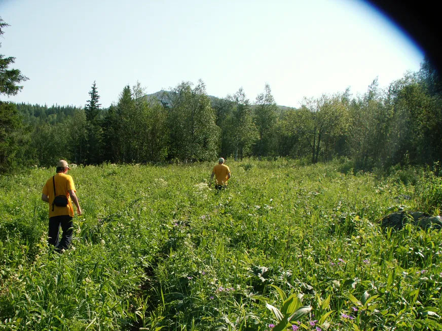 Загрузка картинки - Хребет Нургуш. К вершине налегке