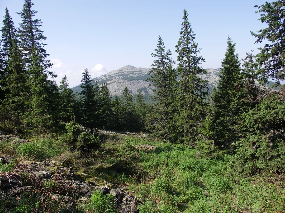 Загрузка картинки - Хребет Нургуш. Вид на гору-сателлит
