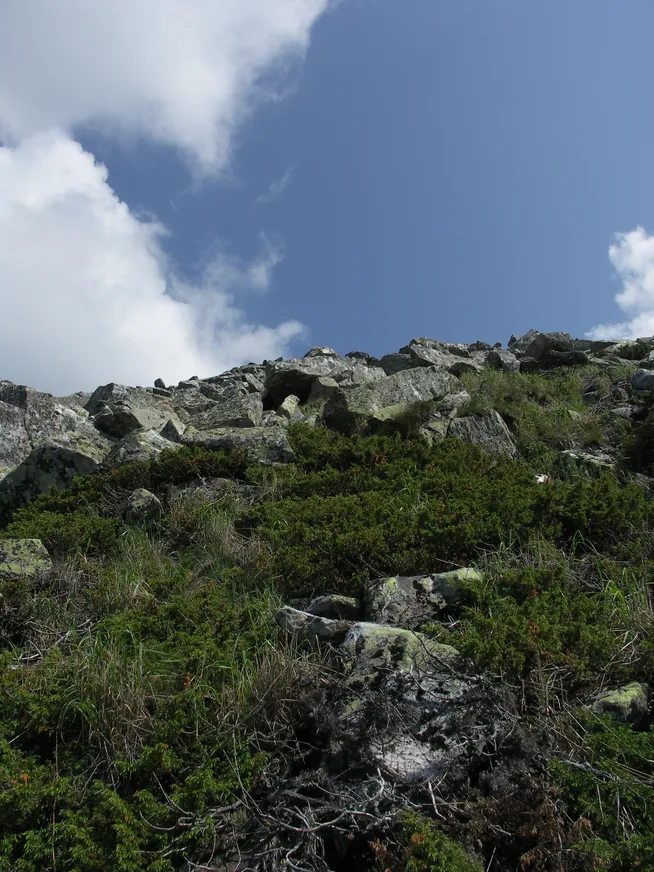 Загрузка картинки - Хребет Нургуш. До вершины сотня метров