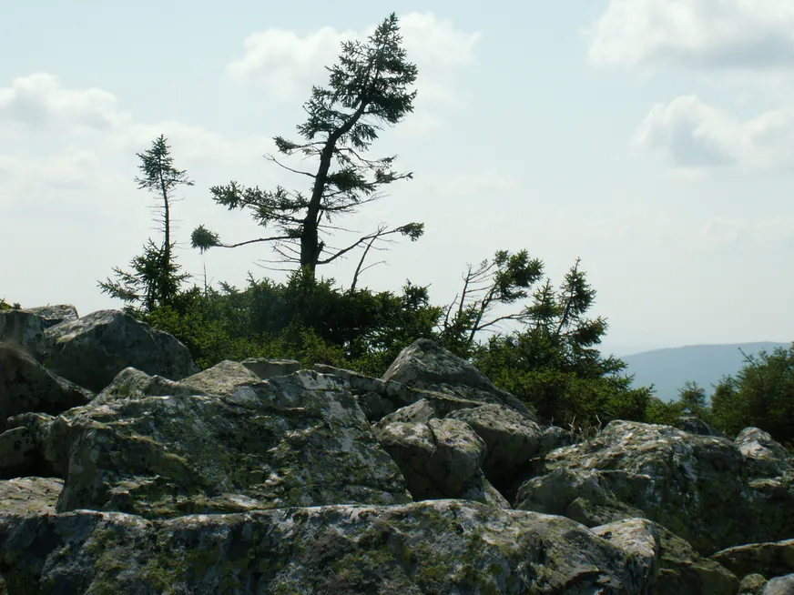 Загрузка картинки - Хребет Нургуш. Тундра