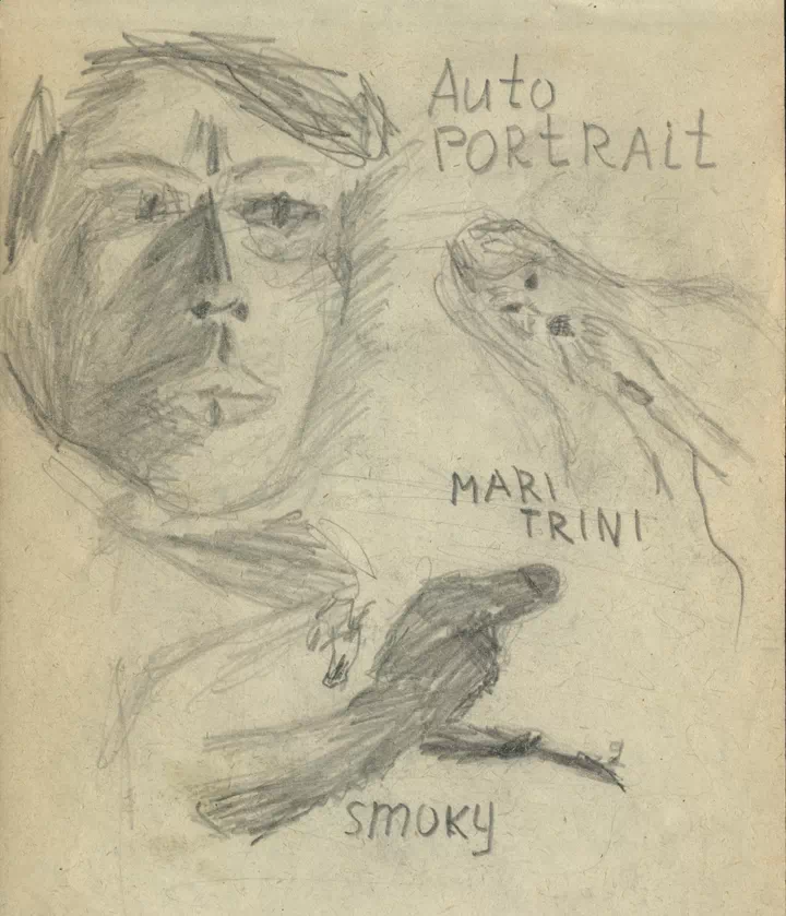 Картинка (перезагрузить правым кликом)