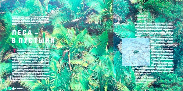 Greenpeace Breakthrough, (Various, 1989). Book