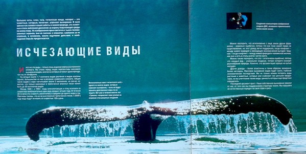 Greenpeace Breakthrough, (Various, 1989). Book