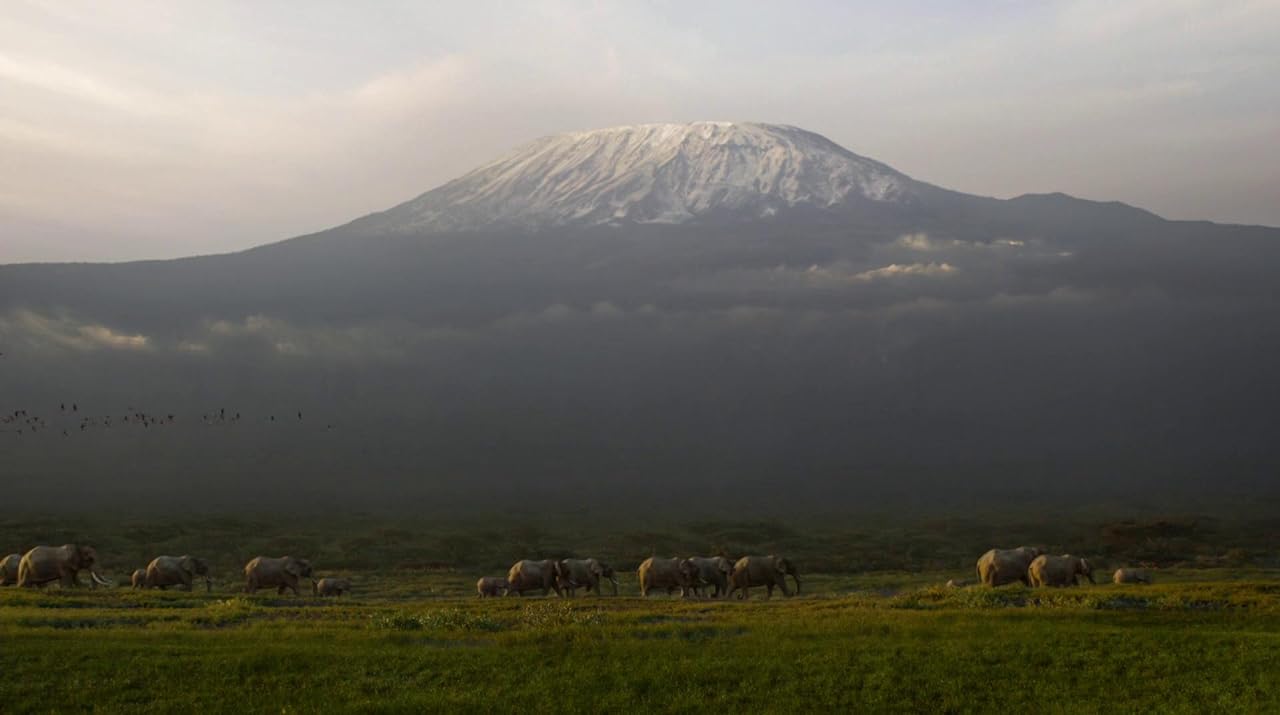 Kilimanjaro 04