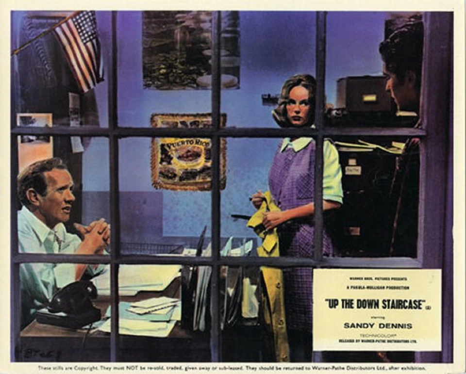 Вверх по лестнице вниз 03