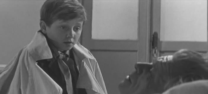 Зимородок 04