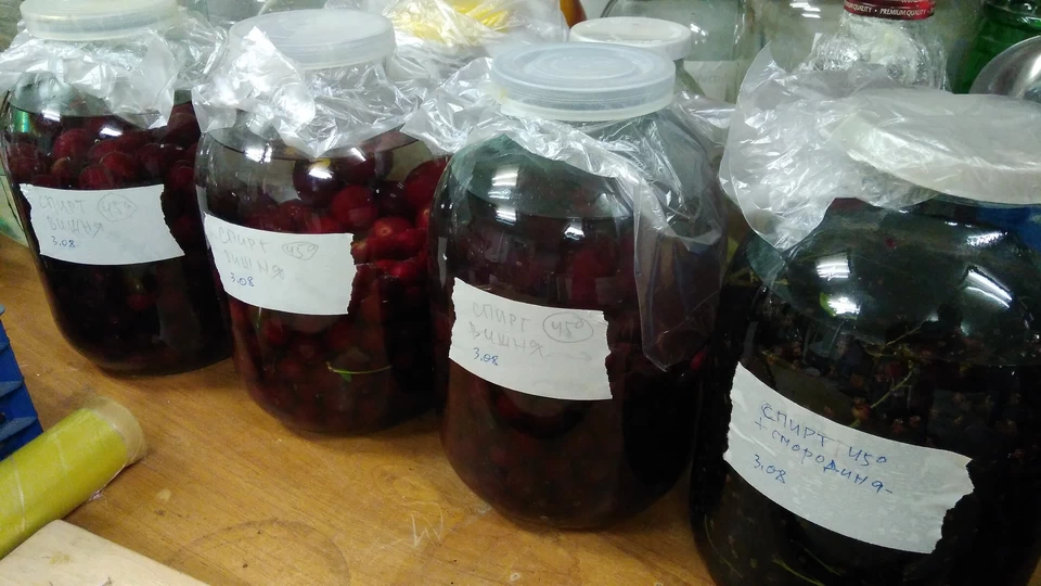 Летний парад войск