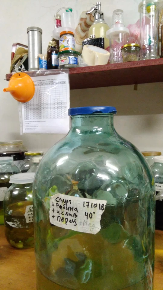 Авторская настойка на рябине