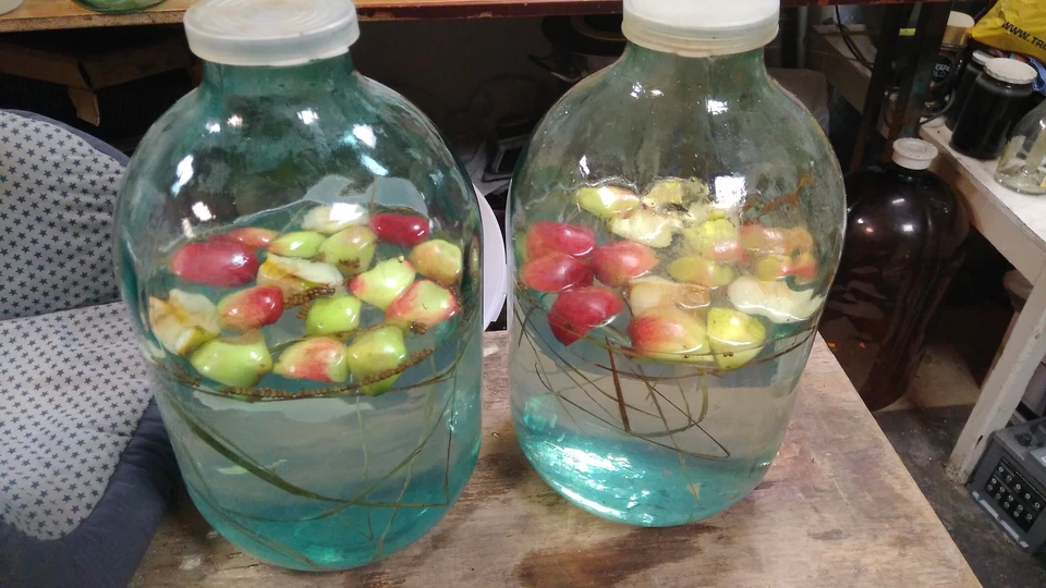 Дары лета с зубровкой