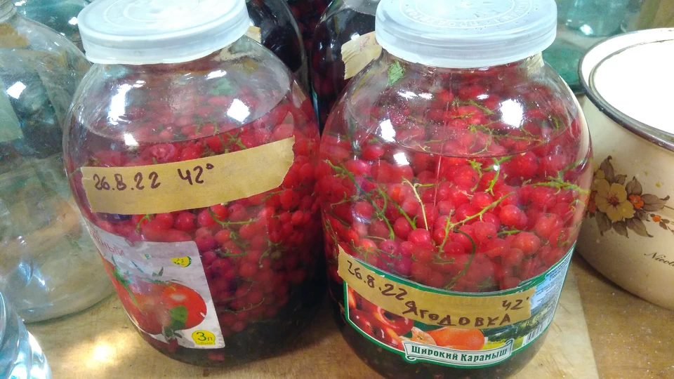 Смородиновая ягодовка