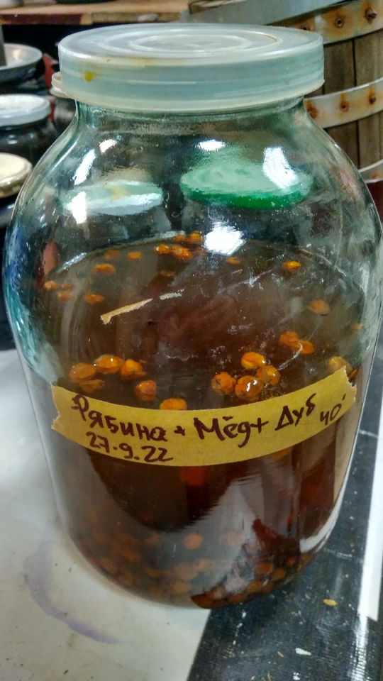 Домашняя рябина на коньяке