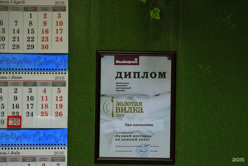 Диплом Золотая вилка 2009