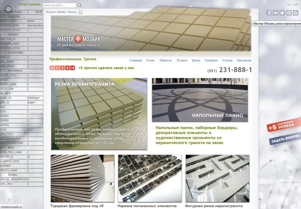 Сайт Мастер-Мозаик. Зимний сезонный фон 2016