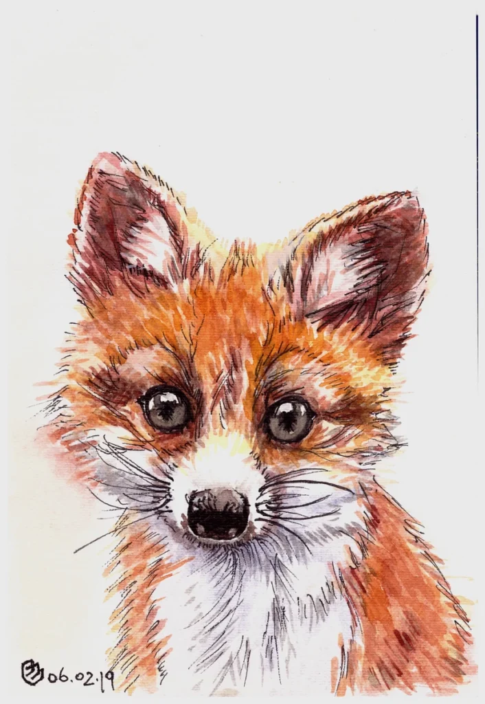 Лисенок, Скетчбук I