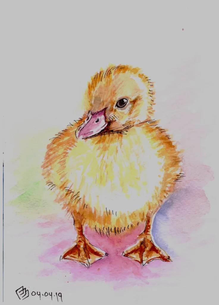 Урок "Утёнок" (2019, вводный курс), акварель, линер