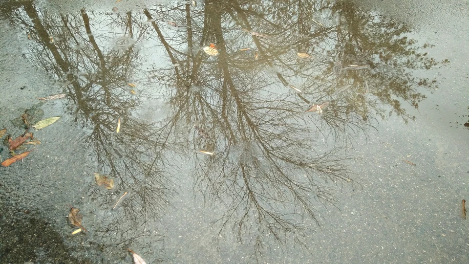 Безназванное