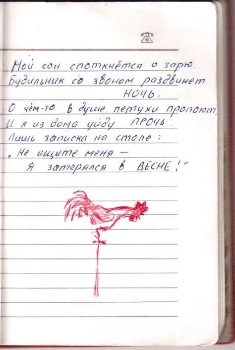 Армейский блокнот 1988-1989. Макс Вандтке. Петухи