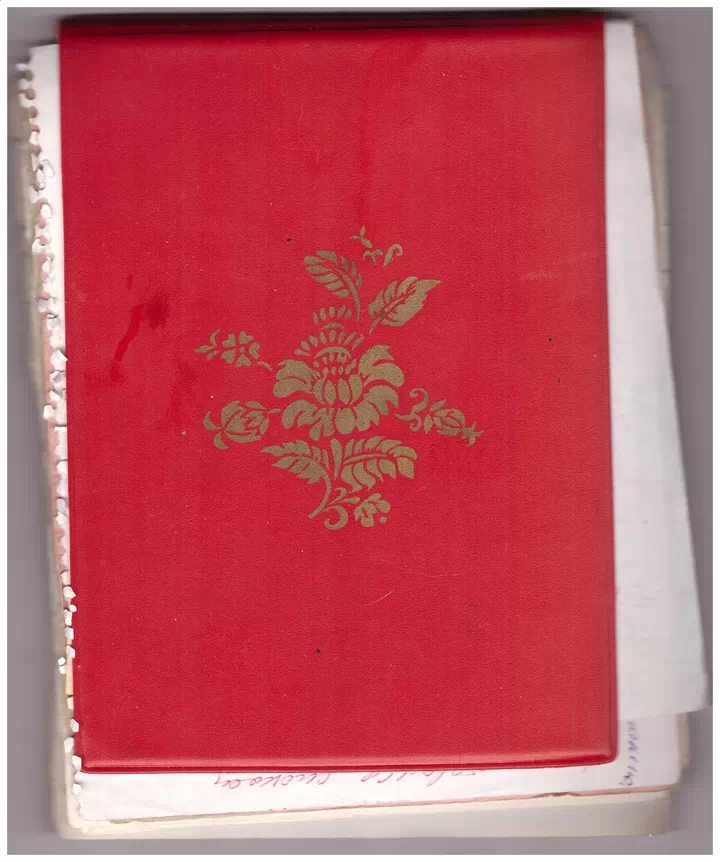 Вирши. Красный блокнот