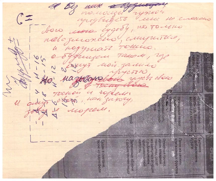 Вирши. Красный блокнот. Омут